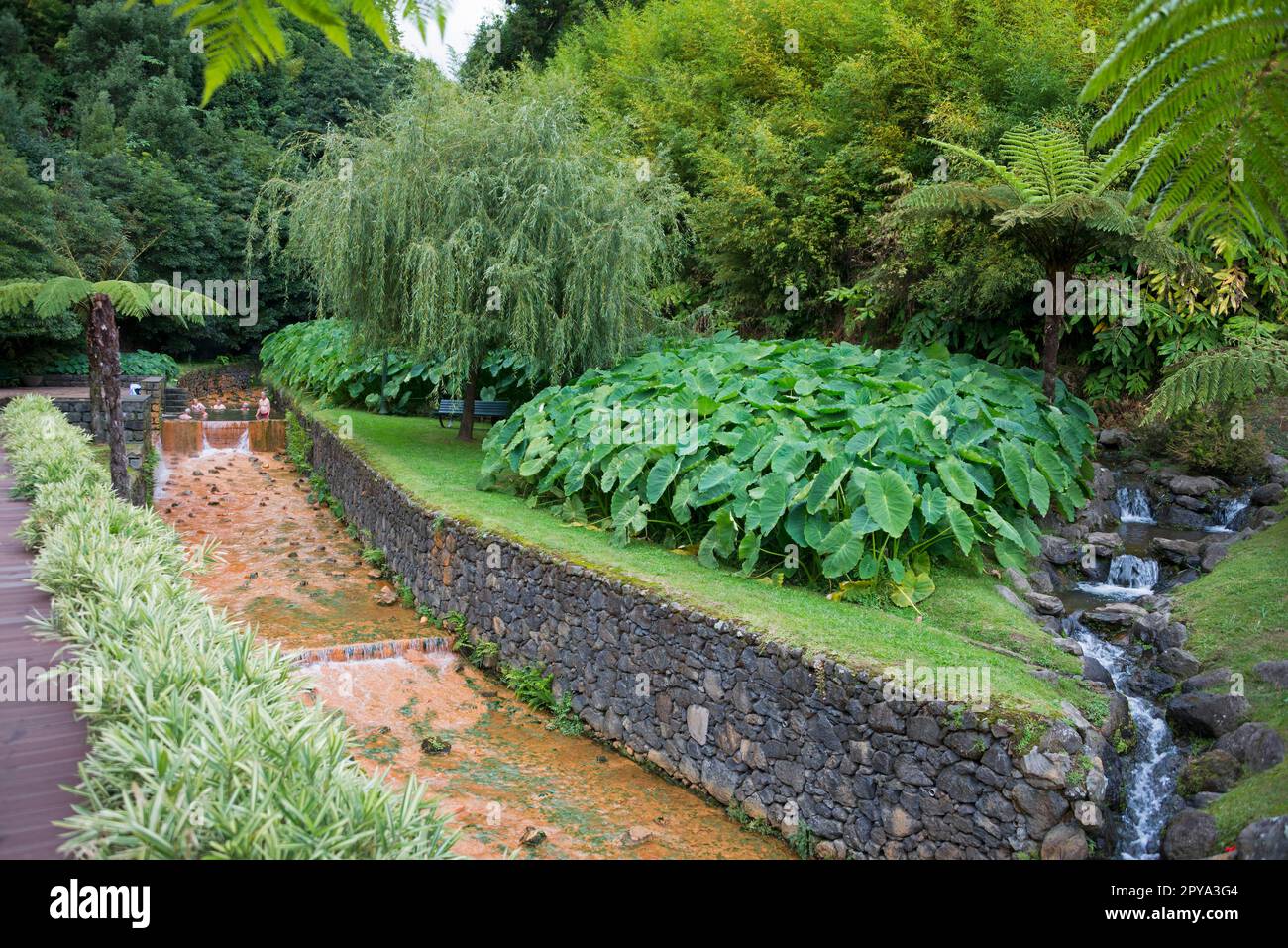 Hot Springs, PoCA da Dona Beija, Furnas, Sao Miguel, Açores, Portugal Banque D'Images