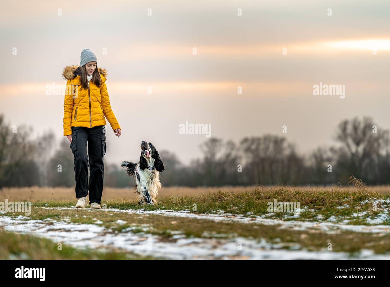 fille avec son chien sur une promenade au coucher du soleil dans la nature. réglage de l'anglais Banque D'Images