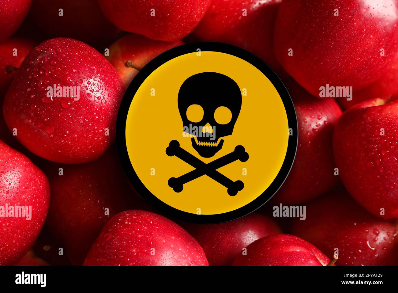 Affiche crâne et crossbone sur les pommes fraîches, gros plan. Attention - toxique Banque D'Images