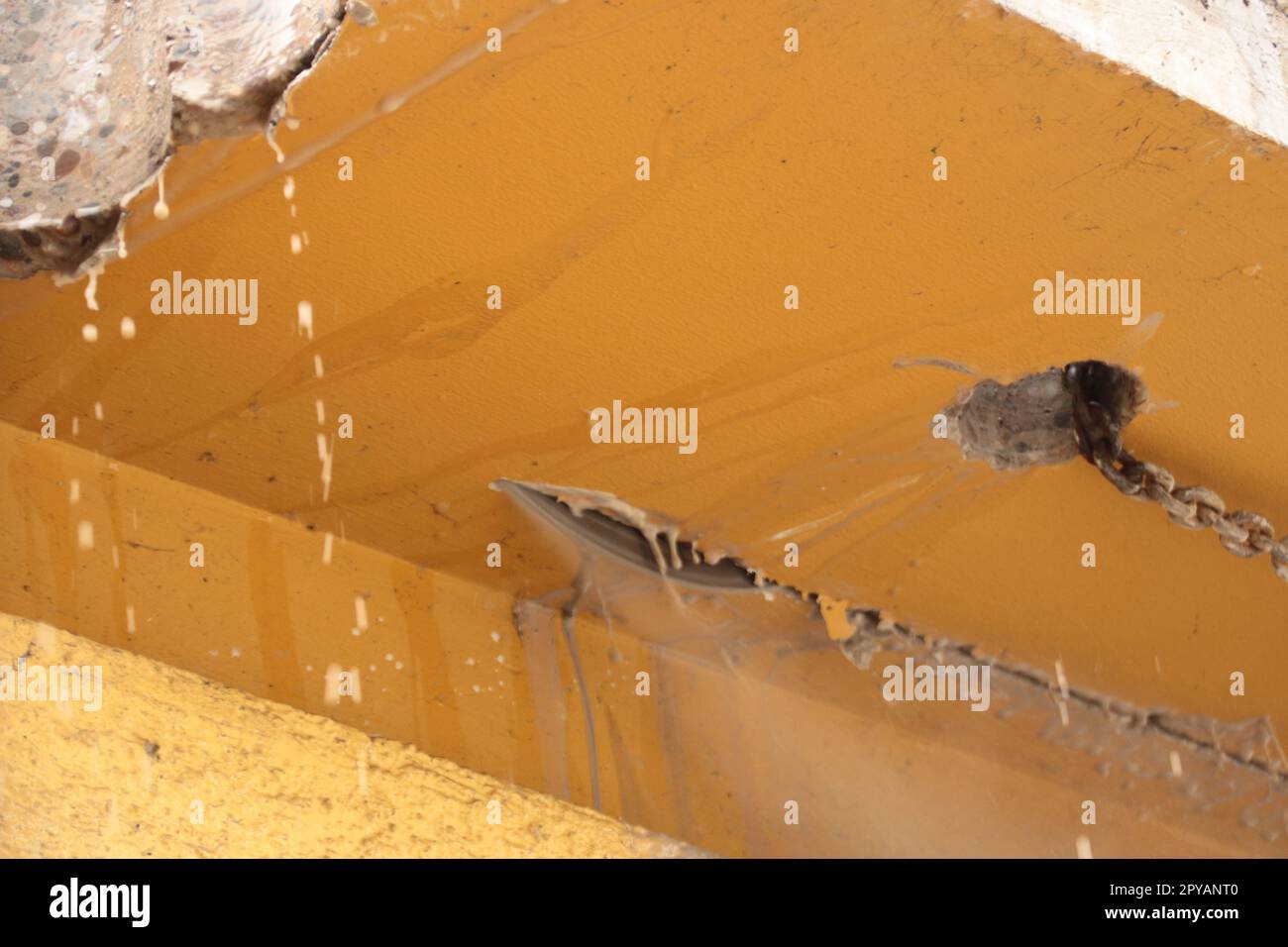 Scie à béton coupe un plafond en béton Banque D'Images
