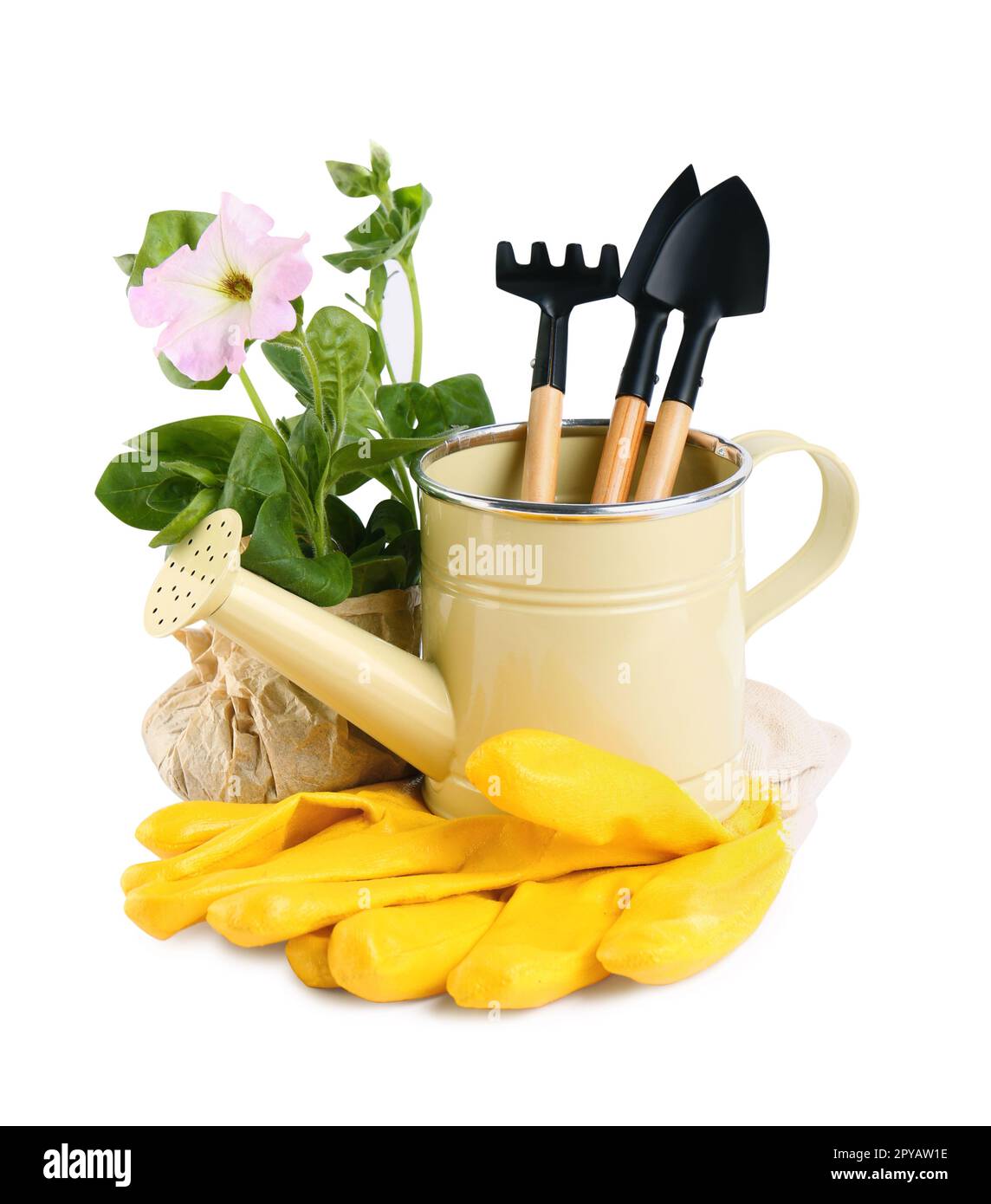 Arrosoir, outils de fleurs et de jardinage sur fond blanc Banque D'Images