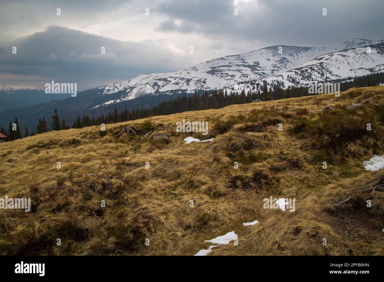 Photo de paysage de collines d'herbe sèche et de chaînes de montagnes enneigées Banque D'Images