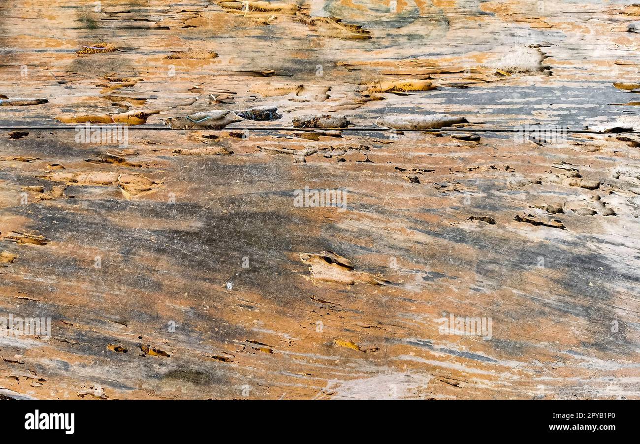 Vieille texture de bois brut d'une table Puerto Escondido Mexique. Banque D'Images