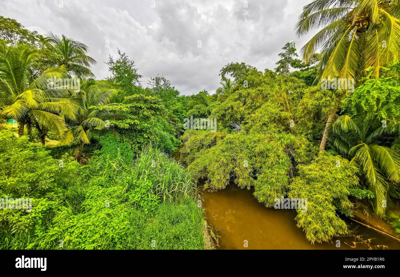 Vert Belle rivière tropicale Lagoon d'eau douce à Puerto Escondido Mexique. Banque D'Images