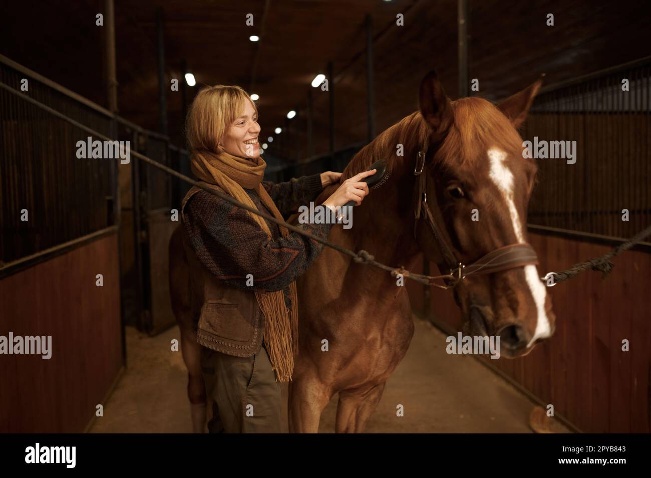 Horsewoman peignant la manie de son cheval brun pur-sang en stable Banque D'Images