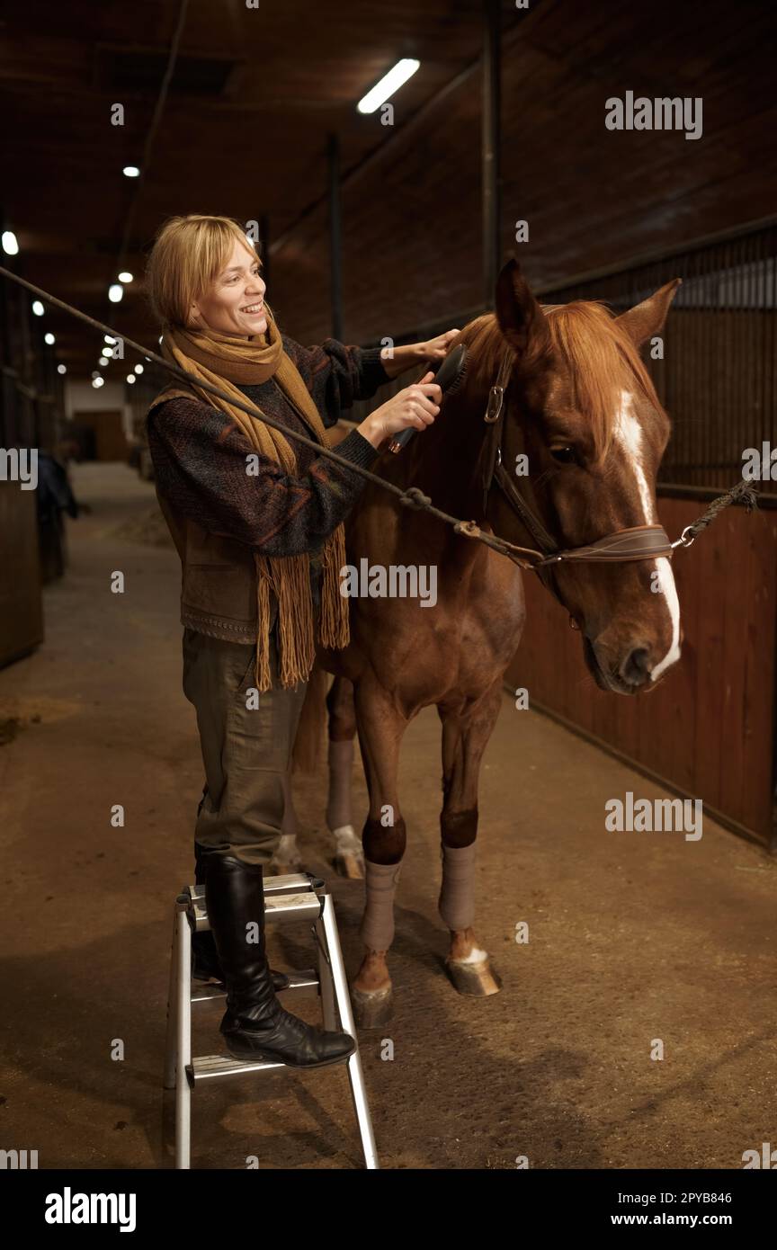 Horsewoman peignant la manie de son cheval brun pur-sang en stable Banque D'Images