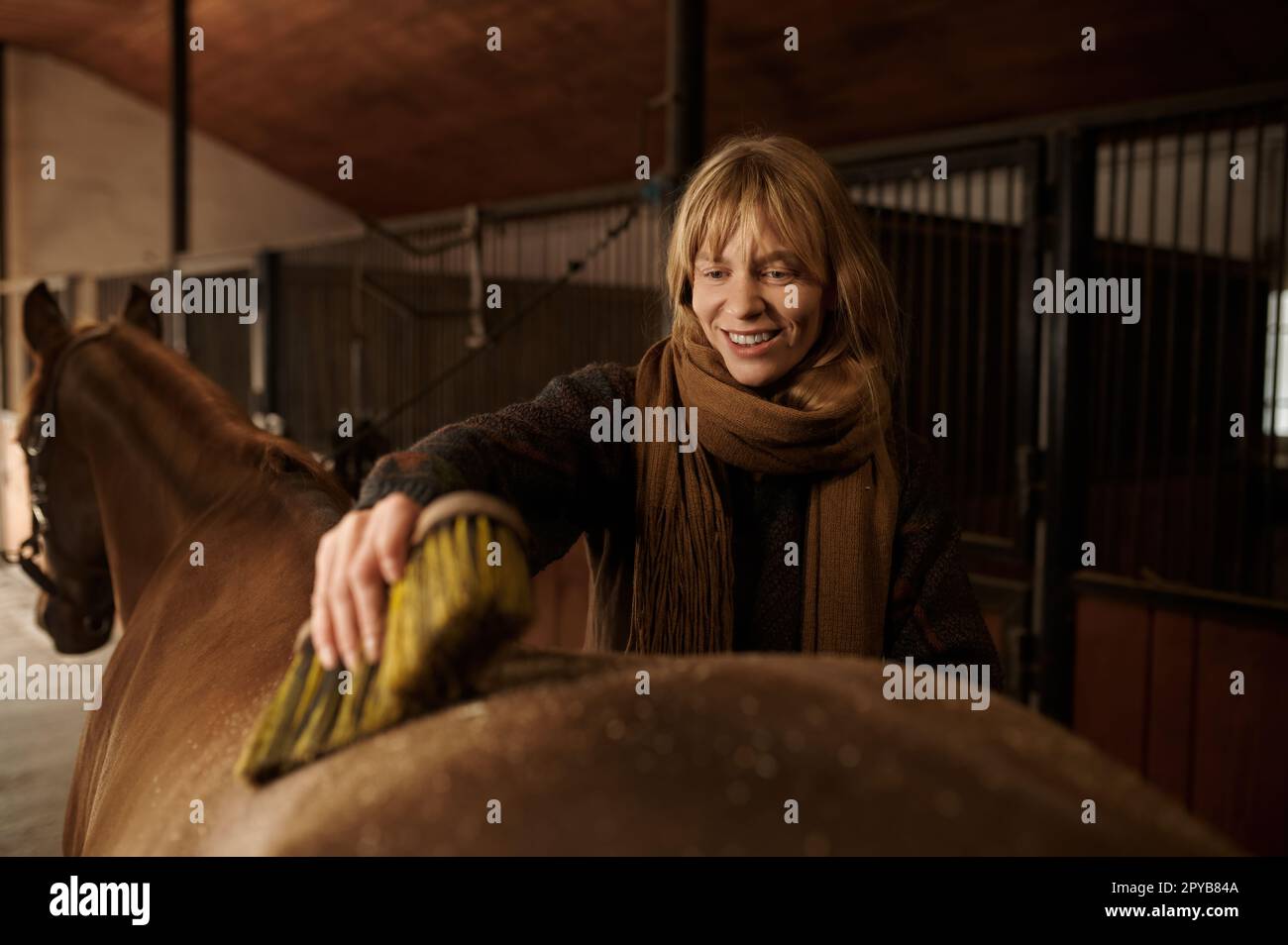 Gros plan portrait d'une horsewoman heureuse en nettoyant son étalon à la brosse Banque D'Images