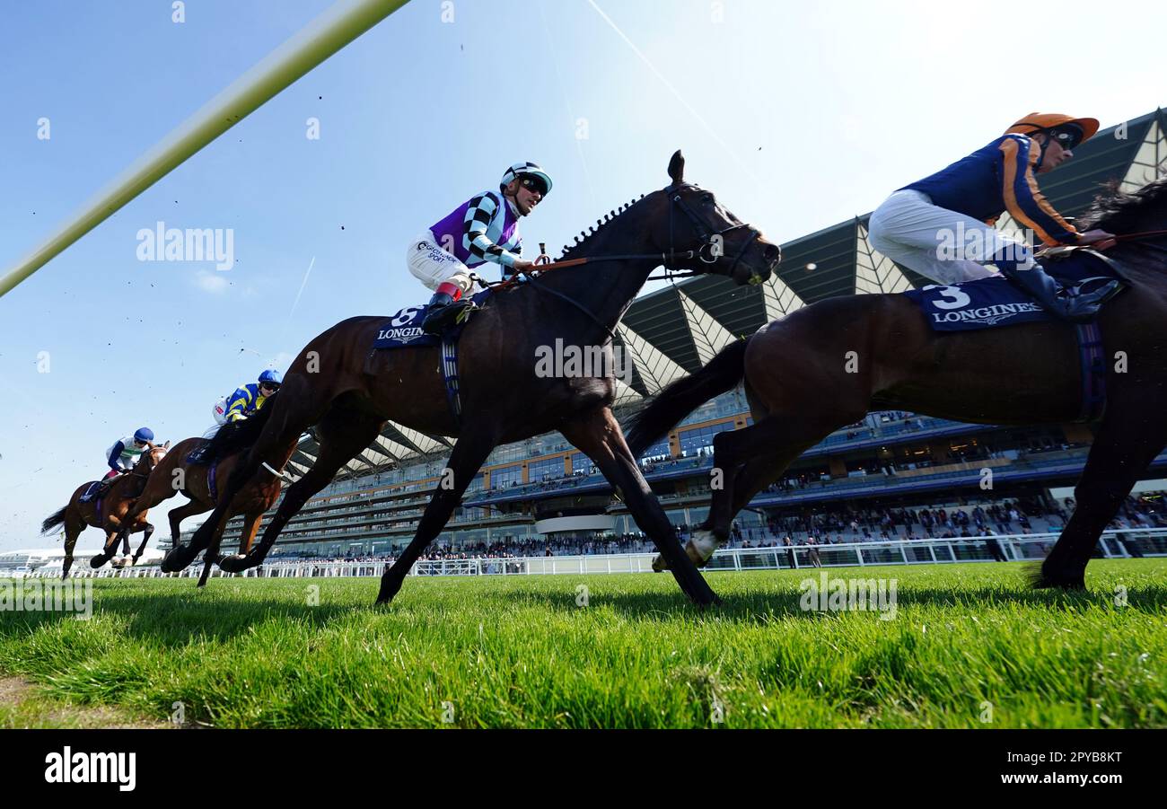 El Habeeb est monté par Andrea Atzeni pendant les piquets de Sagaro de Longines à l'hippodrome d'Ascot, dans le Berkshire. Date de la photo: Mercredi 3 mai 2023. Banque D'Images