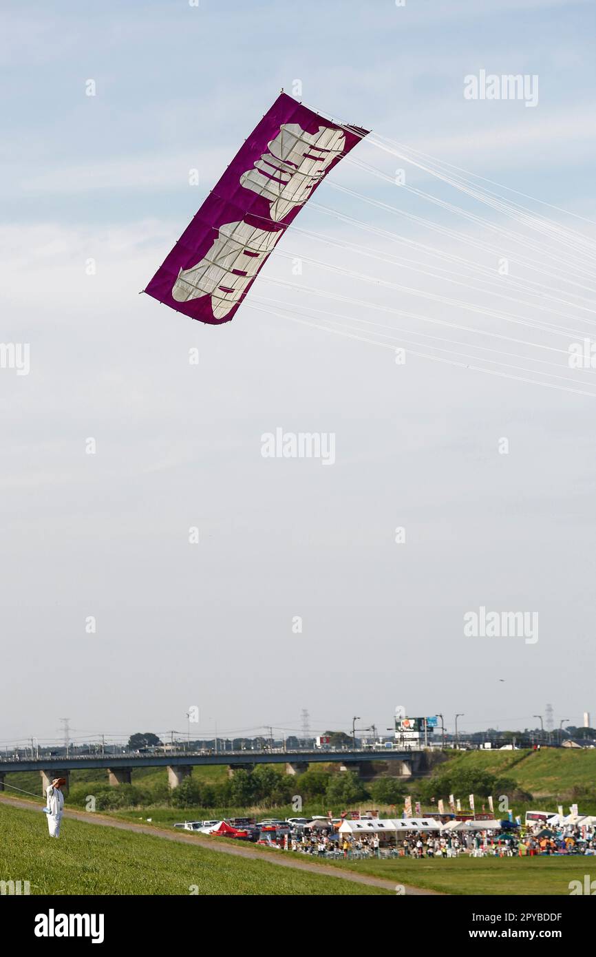 3 mai 2023, Saitama, Japon : un cerf-volant géant lors du festival du cerf-volant géant dans la ville de Kasukabe. Les participants ont volé d'énormes cerfs-volants dans la prière pour une récolte abondante de leur élevage de vers à soie. Les deux cerfs-volants les plus géants pèsent 800 kg (le même poids qu'une petite voiture) et sont de 11 mètres de large par 15 mètres de haut. La célébration a eu lieu chaque année depuis 1841, sauf lors de la pandémie COVID-19. Cela a commencé quand un moine bouddhiste en visite a informé les habitants qu'un cerf-volant a été envoyé pour prier pour une récolte abondante de vers-soie. Le festival annuel a lieu cette année de 3 mai à 5 mai pour le sapin Banque D'Images