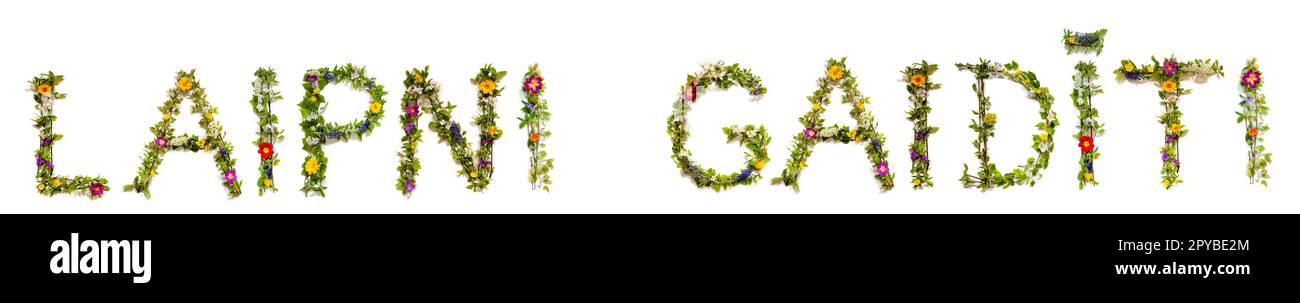 Fleurs colorées Bâtiment mot Laipni Gaiditi, arrière-plan isolé Banque D'Images