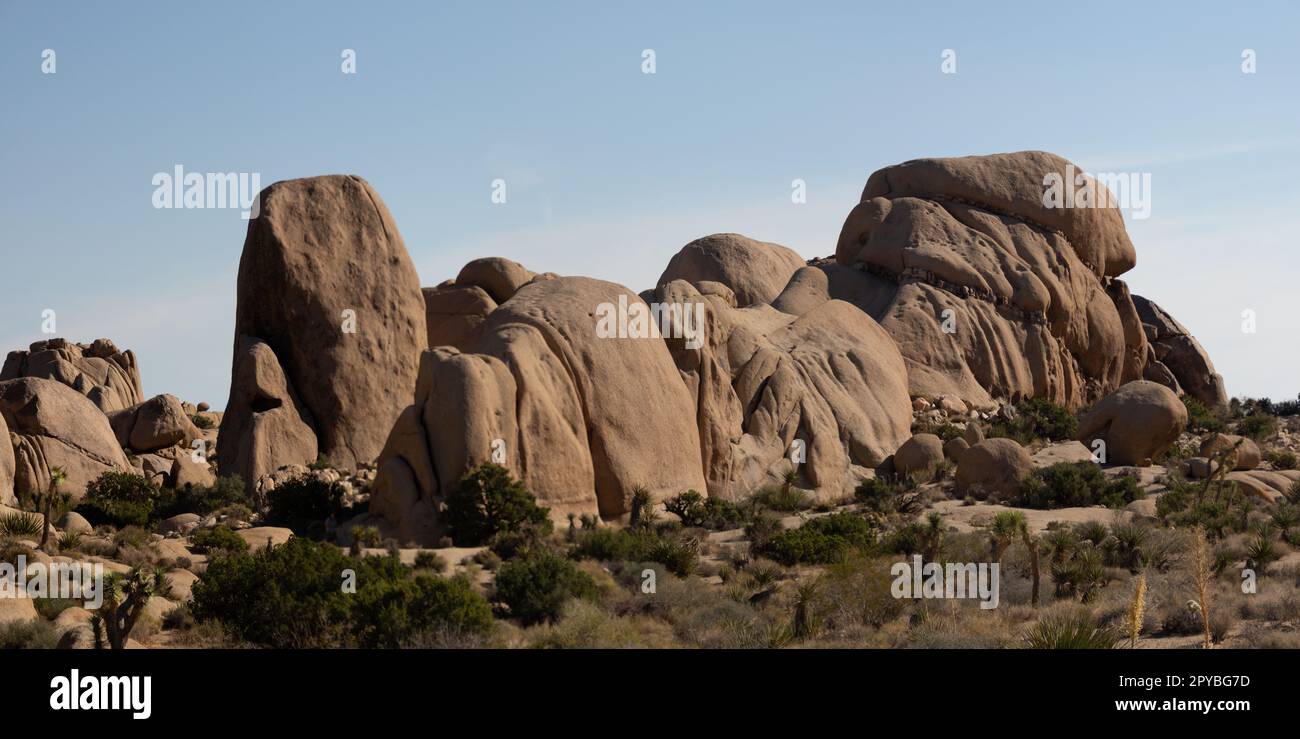 Parc national de Joshua Tree, Californie, États-Unis - 1 décembre 2021 : les formations rocheuses, les boudeurs géants et les forêts iconiques de Joshua Tree attirent les huists extérieurs d'ar Banque D'Images