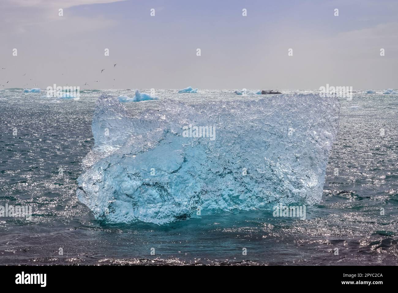 Diamond Beach en Islande avec des icebergs bleus qui fondent sur le sable noir et la glace qui gante avec la lumière du soleil. Banque D'Images