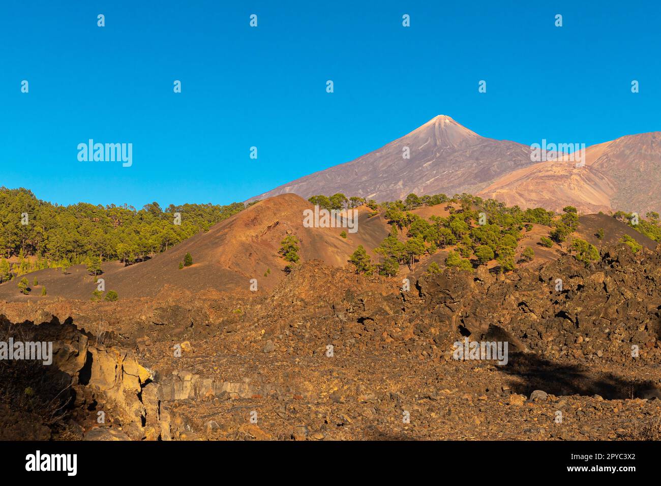 Vue sur le mont Teide près du Mirador de los Poleos Banque D'Images