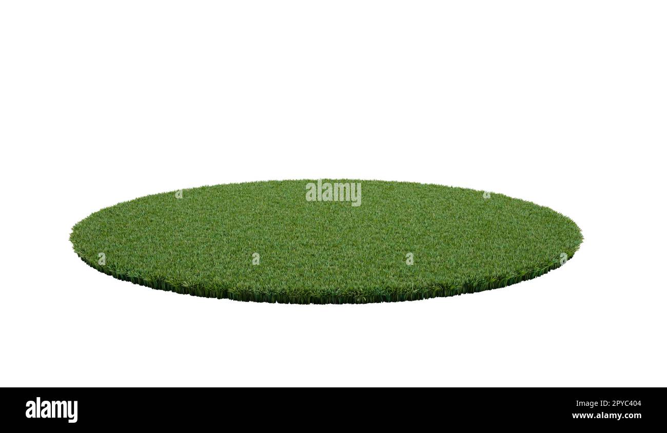 Partie ronde isolée de terrain de football avec herbe. 3d rendu Banque D'Images