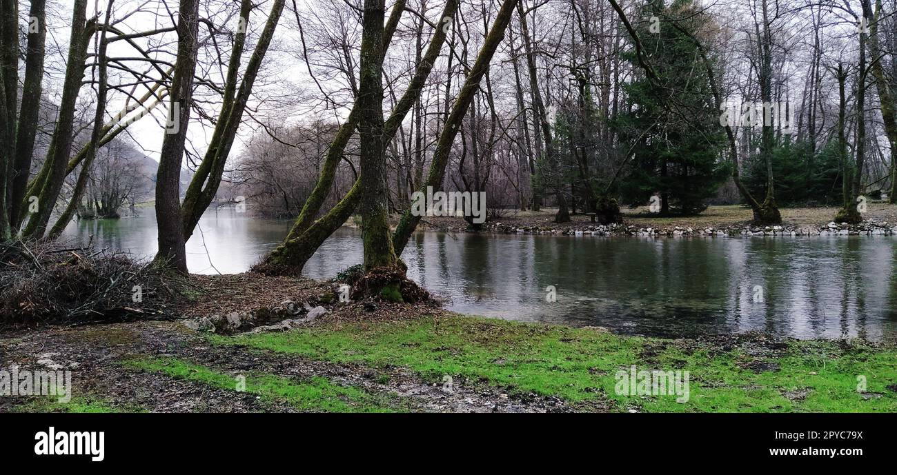 Monument national naturel Source de Bosnie dans le canton de Sarajevo. Début de la rivière Milatsky. Les ruisseaux froids des montagnes se fondent dans une rivière. Sur le bord de mer poussent de vieux arbres avec de la mousse sur les troncs Banque D'Images