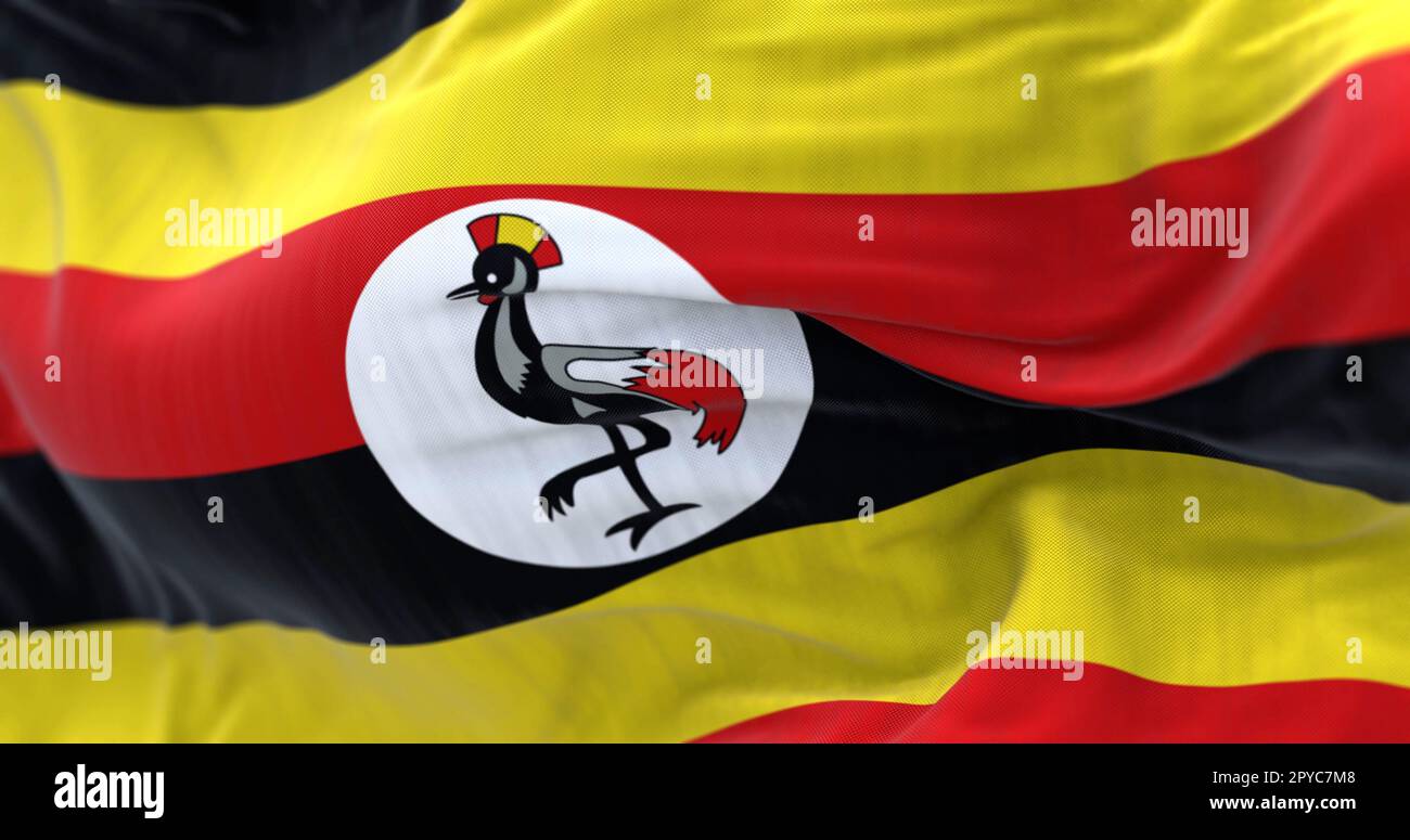 Vue rapprochée du drapeau national de l'Ouganda agitant dans le vent Banque D'Images