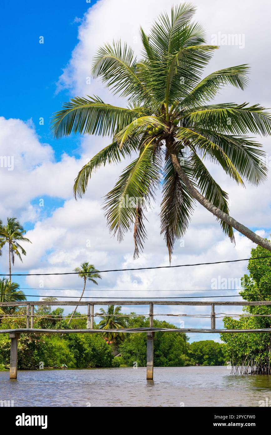 Grande lagune côtière panoramique à Rekawa près de la petite ville de Tangalle, au Sri Lanka Banque D'Images