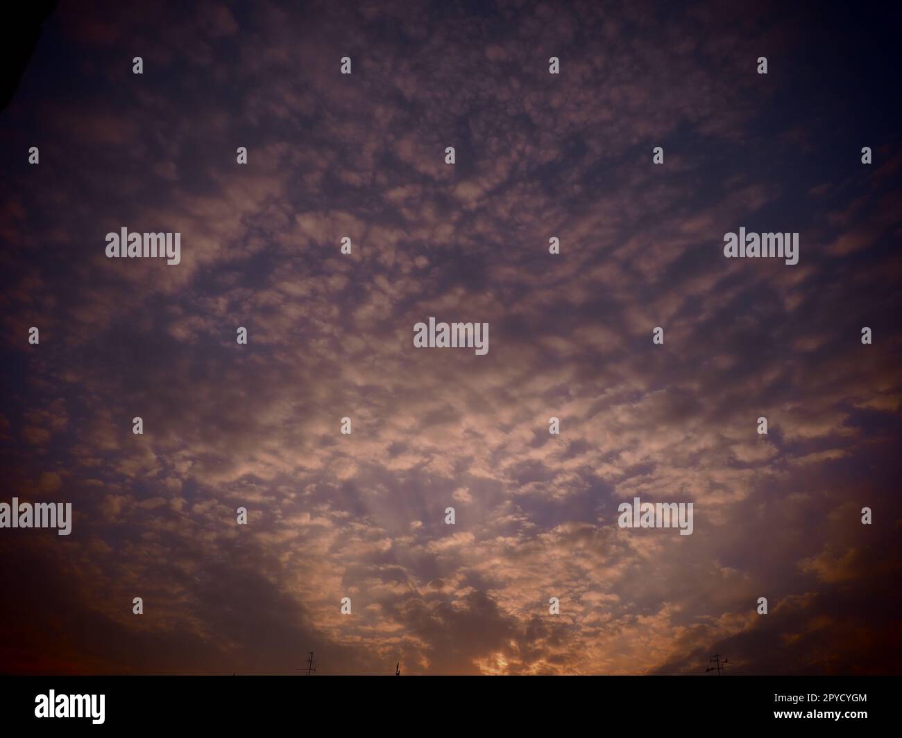 Rose, rouge, violet nuage de ciel de coucher de soleil. Coucher de soleil spectaculaire. Magnifique coucher de soleil. Nuages dans le ciel du soir. Les rayons du soleil transpercent les nuages. Beau paysage. Le soleil se couche Banque D'Images