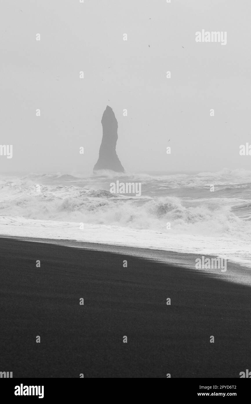 Colonne de roche piquante sur la plage photo de paysage monochrome Banque D'Images