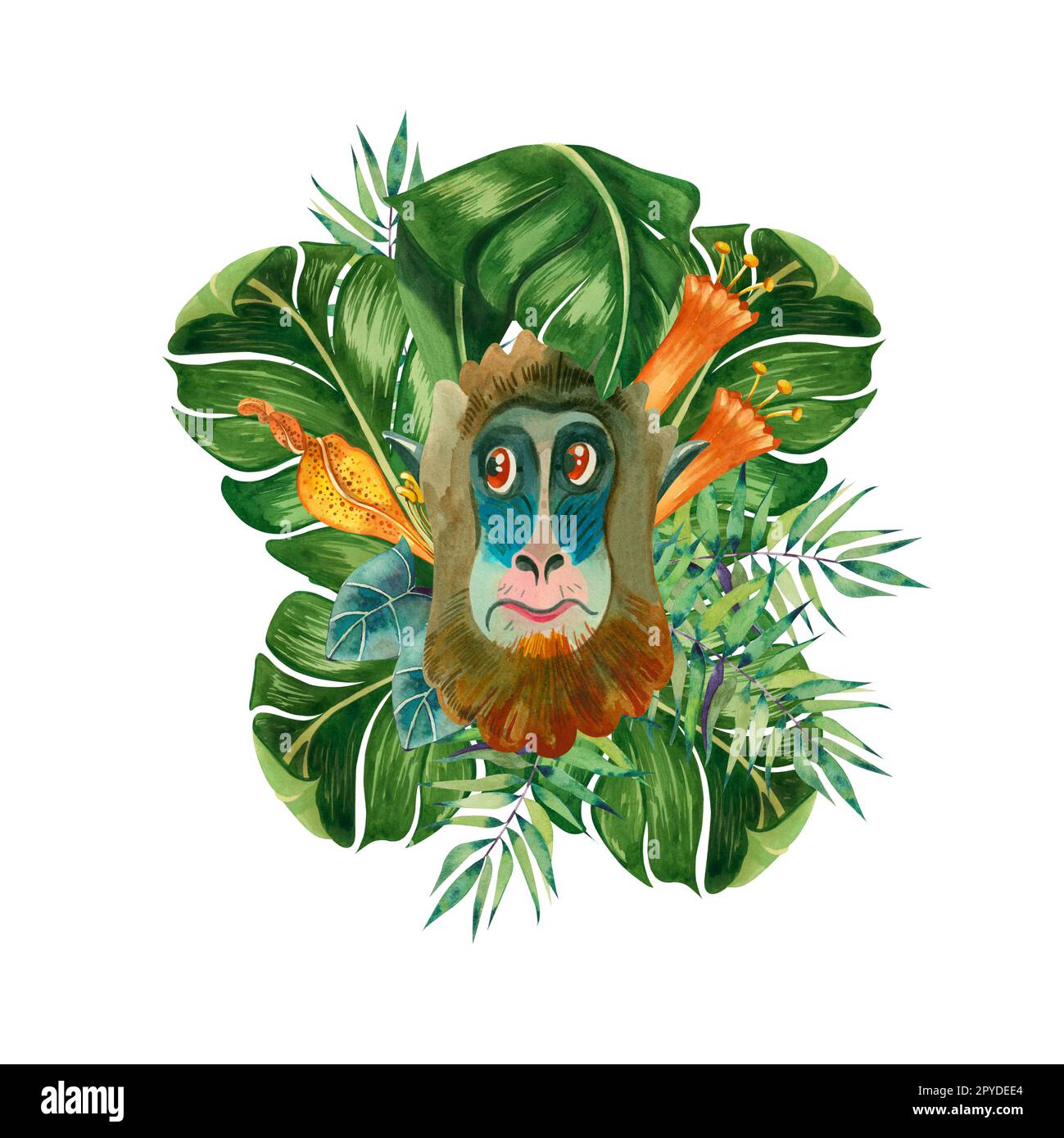 Jungle. Composition aquarelle avec des feuilles et des fleurs de singe et tropicales sur fond blanc. Tous les éléments sont dessinés à la main en aquarelle sur un blanc Banque D'Images