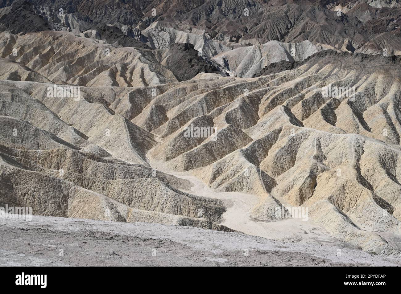 Zabriskie Point est une partie de l'Amargosa Range situé à l'est de la vallée de la mort dans Death Valley National Park en Californie, États-Unis Banque D'Images