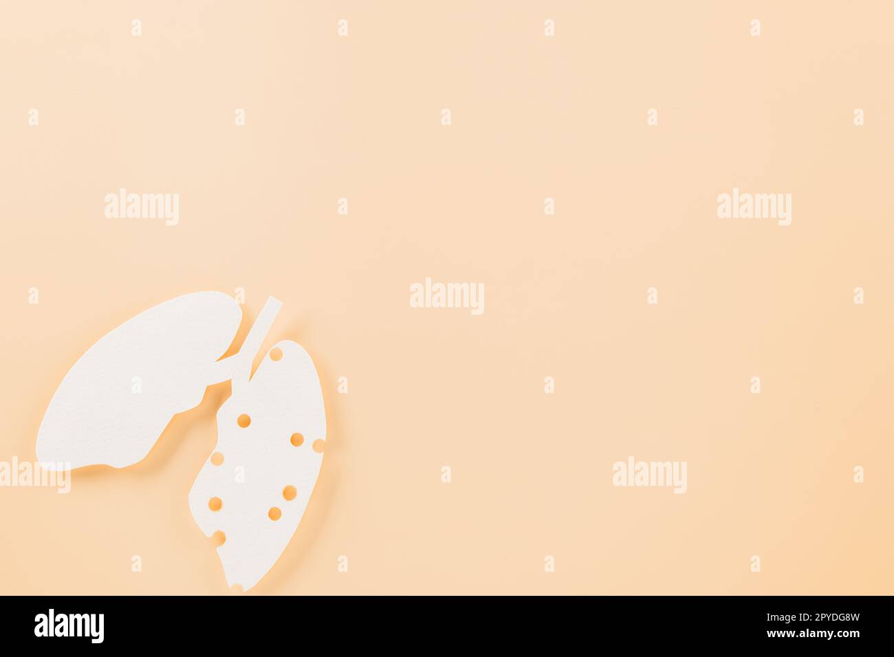 Journée mondiale de la tuberculose Banque D'Images