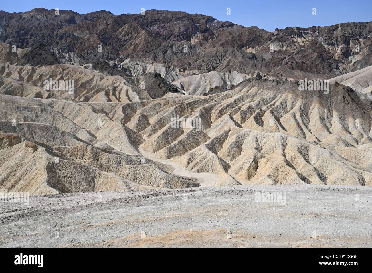 Zabriskie Point est une partie de l'Amargosa Range situé à l'est de la vallée de la mort dans Death Valley National Park en Californie, États-Unis Banque D'Images