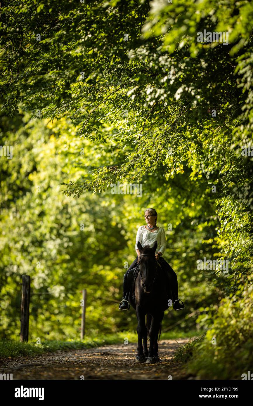 Femme à cheval. Sports équestres, concept d'équitation de loisirs Banque D'Images