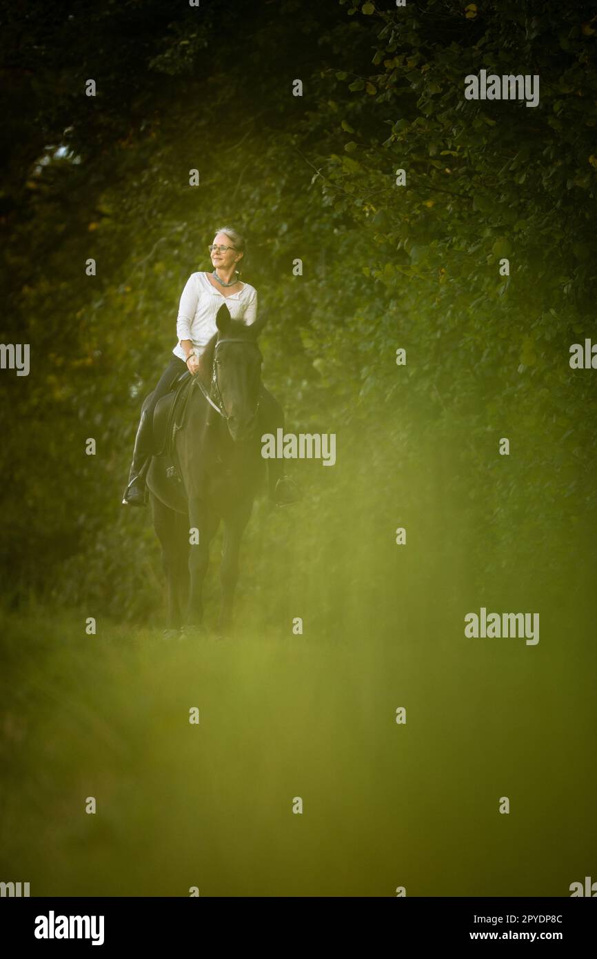 Femme à cheval. Sports équestres, concept d'équitation de loisirs Banque D'Images