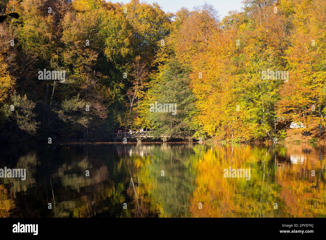 Magnifiques paysages d'automne dans le parc national de Yedigöller ou Yedigöller. Couleurs d'automne. Reflets d'arbres dans le lac. Banque D'Images