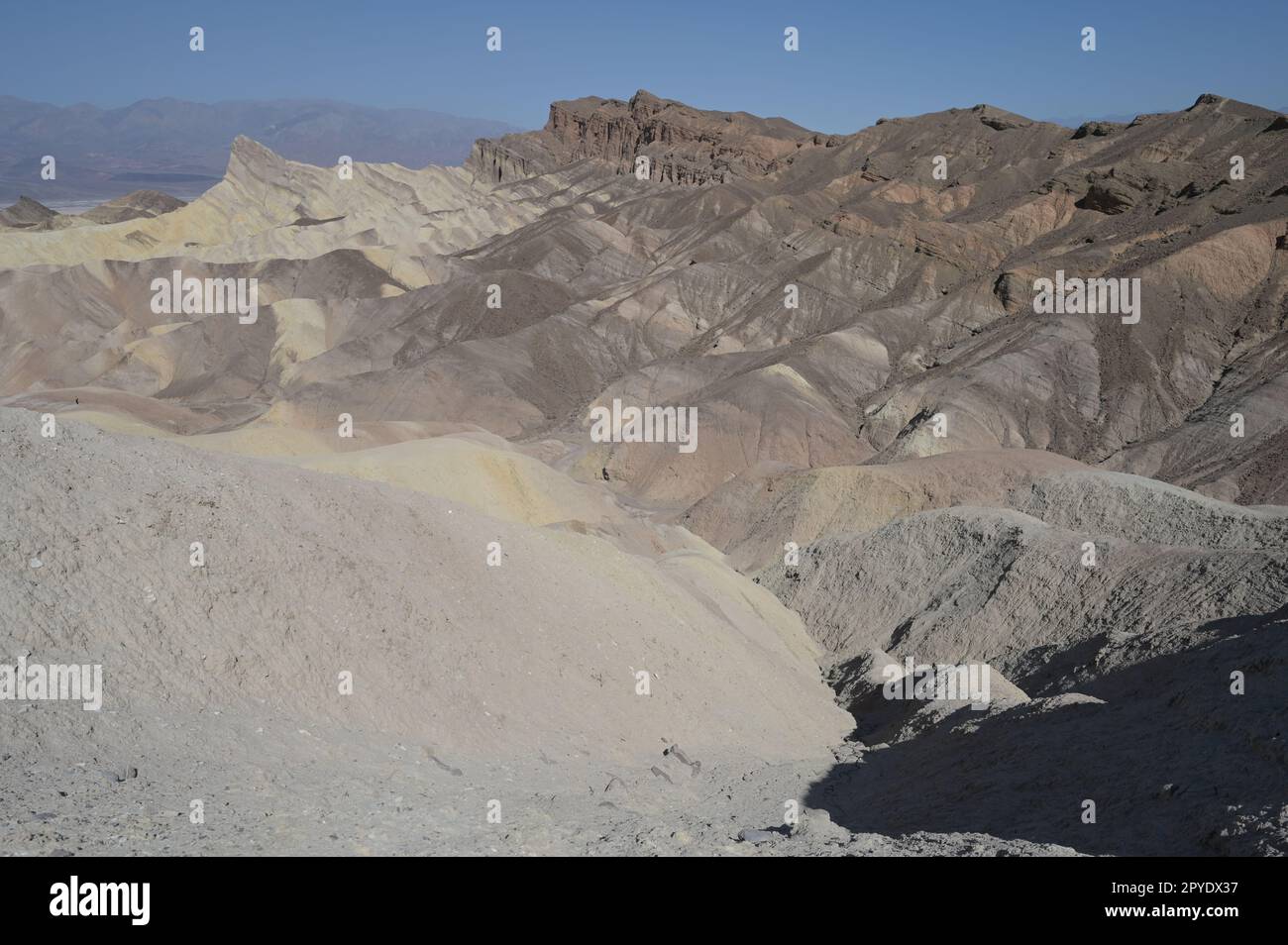 Zabriskie Point est une partie de l'Amargosa Range situé à l'est de la vallée de la mort dans Death Valley National Park en Californie, États-Unis Banque D'Images