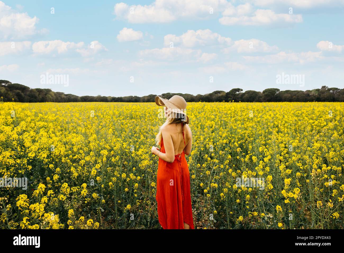 Jeune belle femme blonde, vêtue d'une robe rouge et d'un chapeau, pose au milieu d'un champ de fleurs de colza jaune Banque D'Images