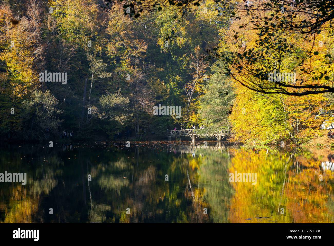Magnifiques paysages d'automne dans le parc national de Yedigöller ou Yedigöller. Couleurs d'automne. Reflets d'arbres dans le lac. Banque D'Images