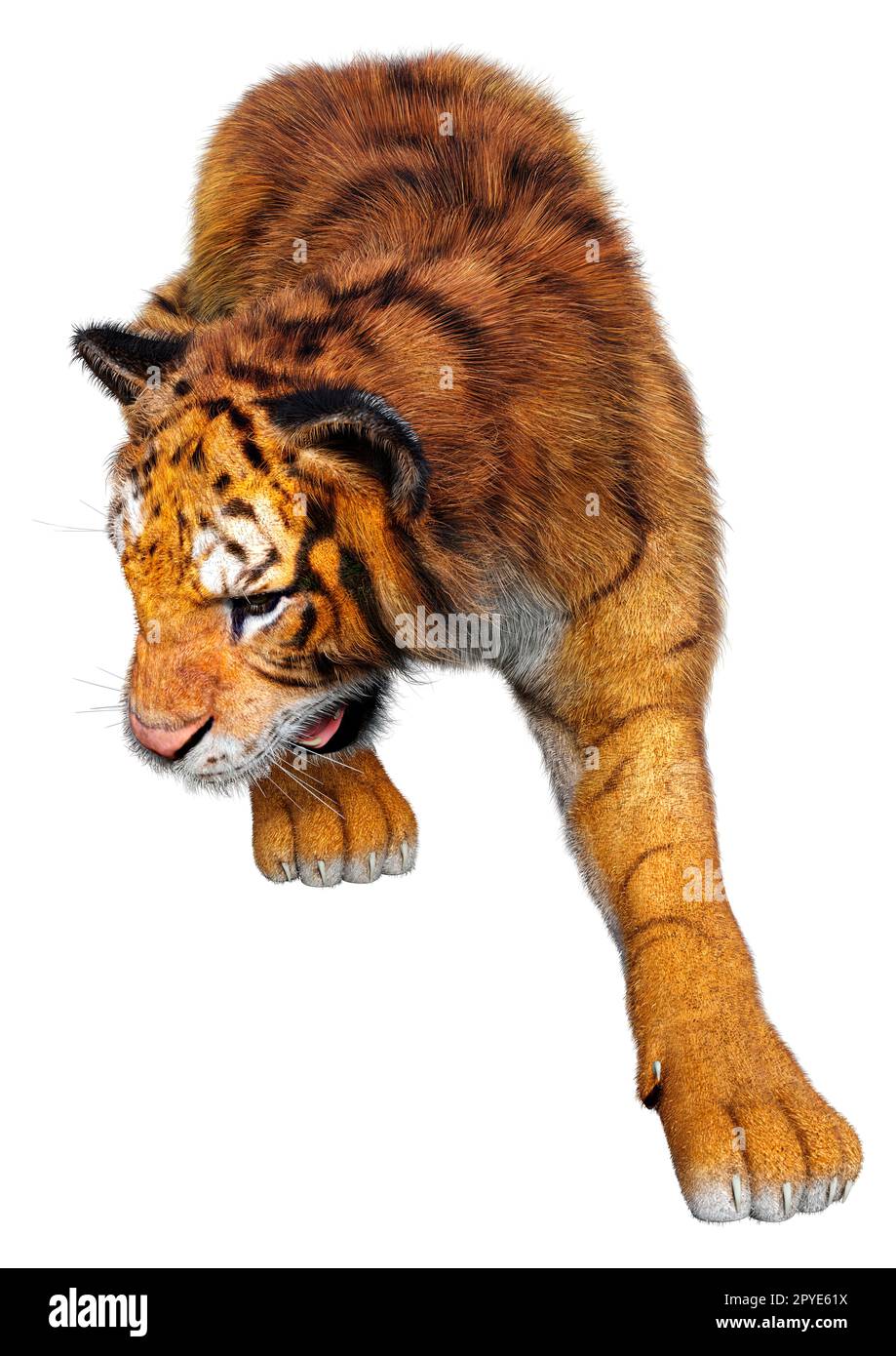 Le rendu 3D d'un grand chat tiger isolé sur fond blanc Banque D'Images