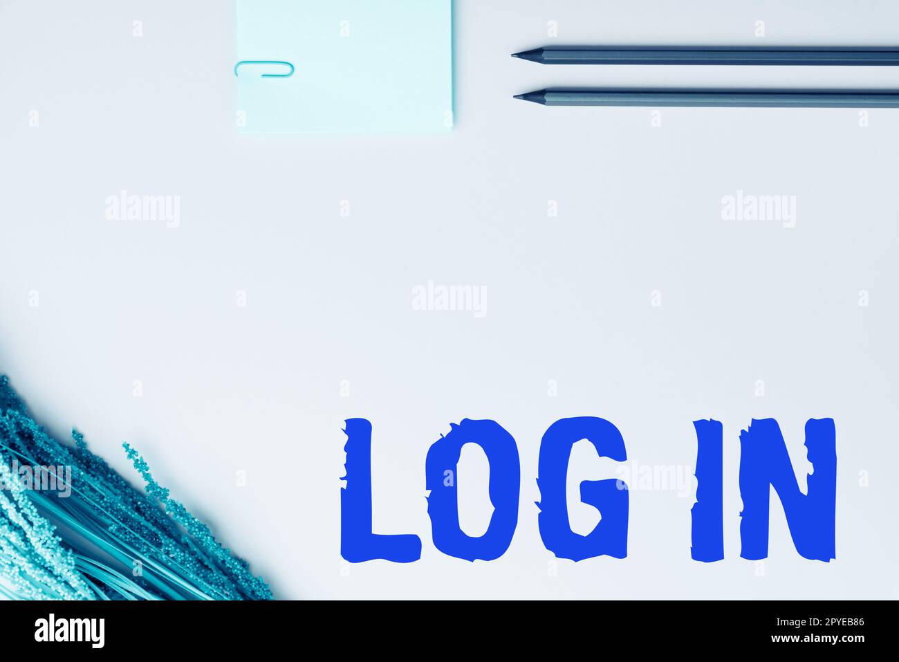 Affichage conceptuel se connecter. Photo conceptuelle passez en revue les procédures pour commencer à utiliser un ordinateur ou une base de données Banque D'Images
