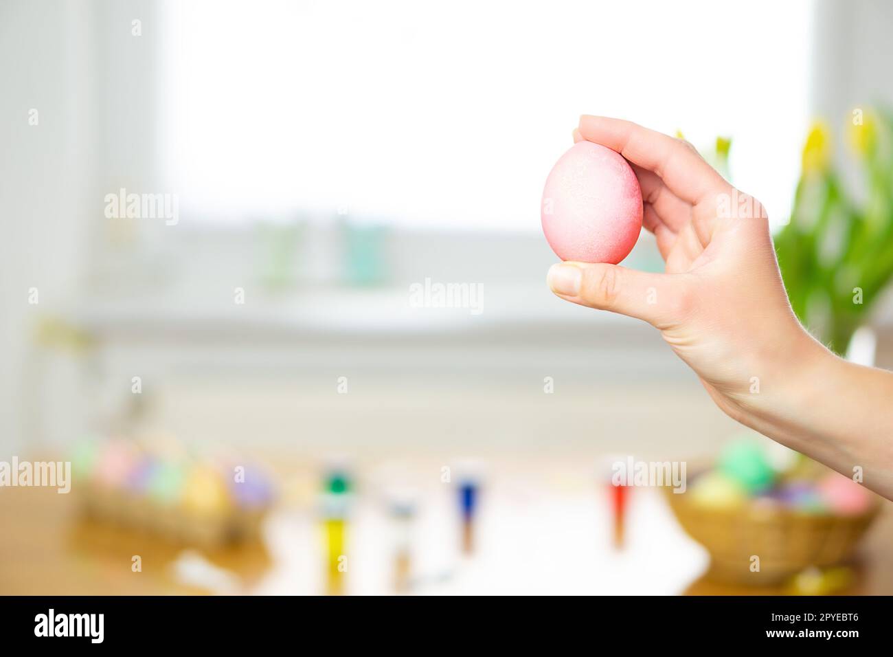 Main femelle tenant un oeuf de Pâques peint rose. Décoration de nourriture faite à la main. Préparation pour Pâques. Banque D'Images