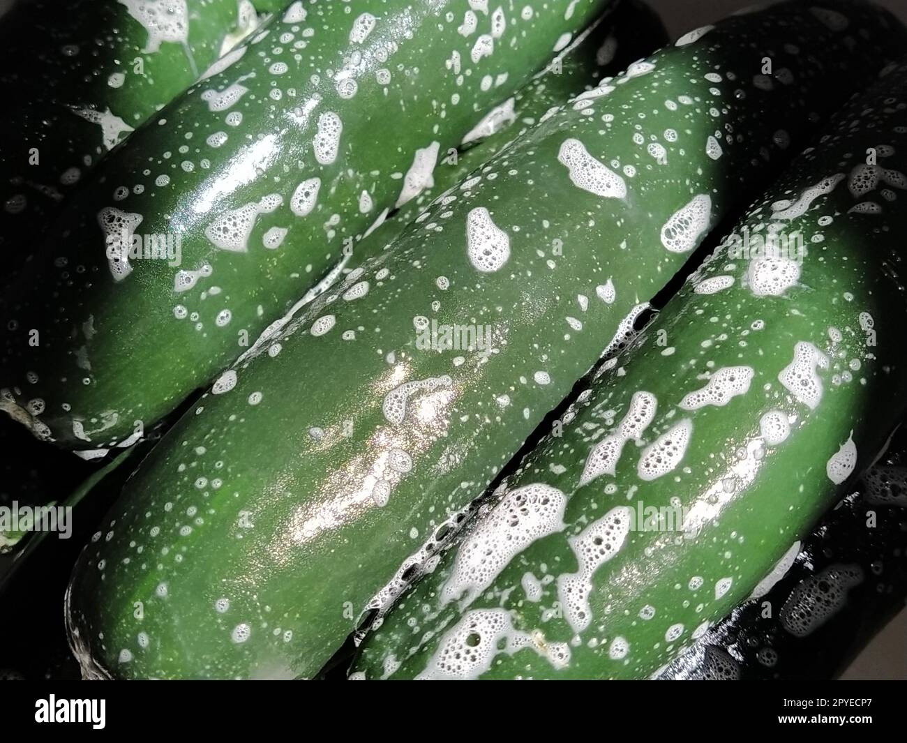 Concombres savonneux. Lavez soigneusement les légumes avec de la mousse et de l'eau. Prévention des maladies infectieuses. Syndrome obsessionnel-compulsif. Mousse blanche Banque D'Images