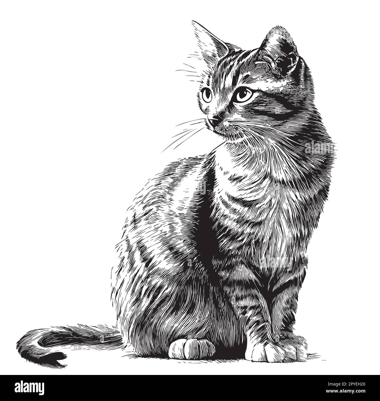 Dessin de chat dessiné à la main dans une illustration de style Doodle Illustration de Vecteur