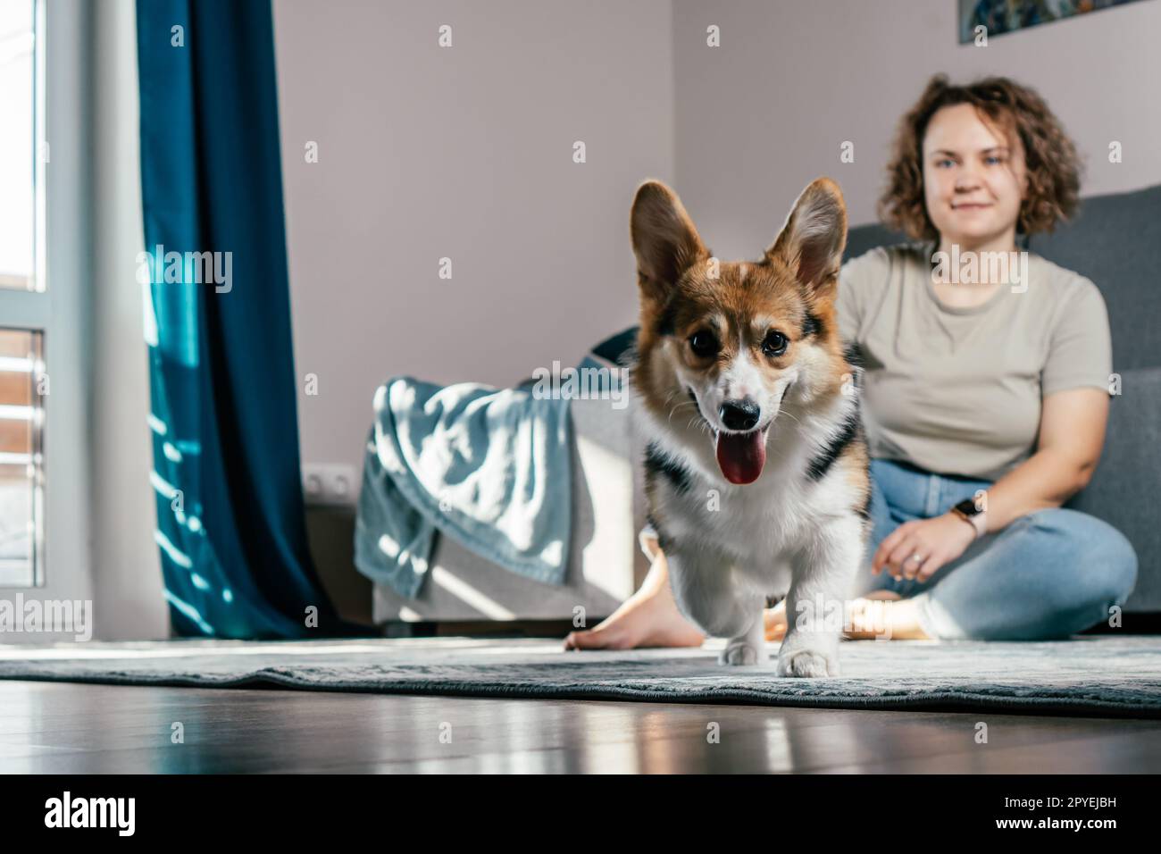 Femme bouclé joyeuse avec chien corgi assis, se détendre et jouer sur le sol à la maison. Animal de compagnie à fourrure actif courant à la caméra Banque D'Images