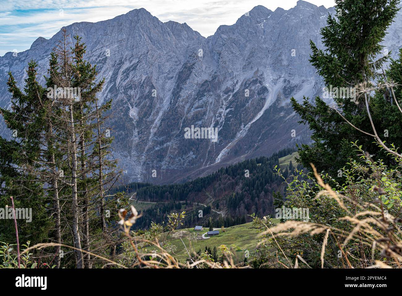 Chaîne de montagne massive, forêt et prairies des Alpes allemandes Banque D'Images