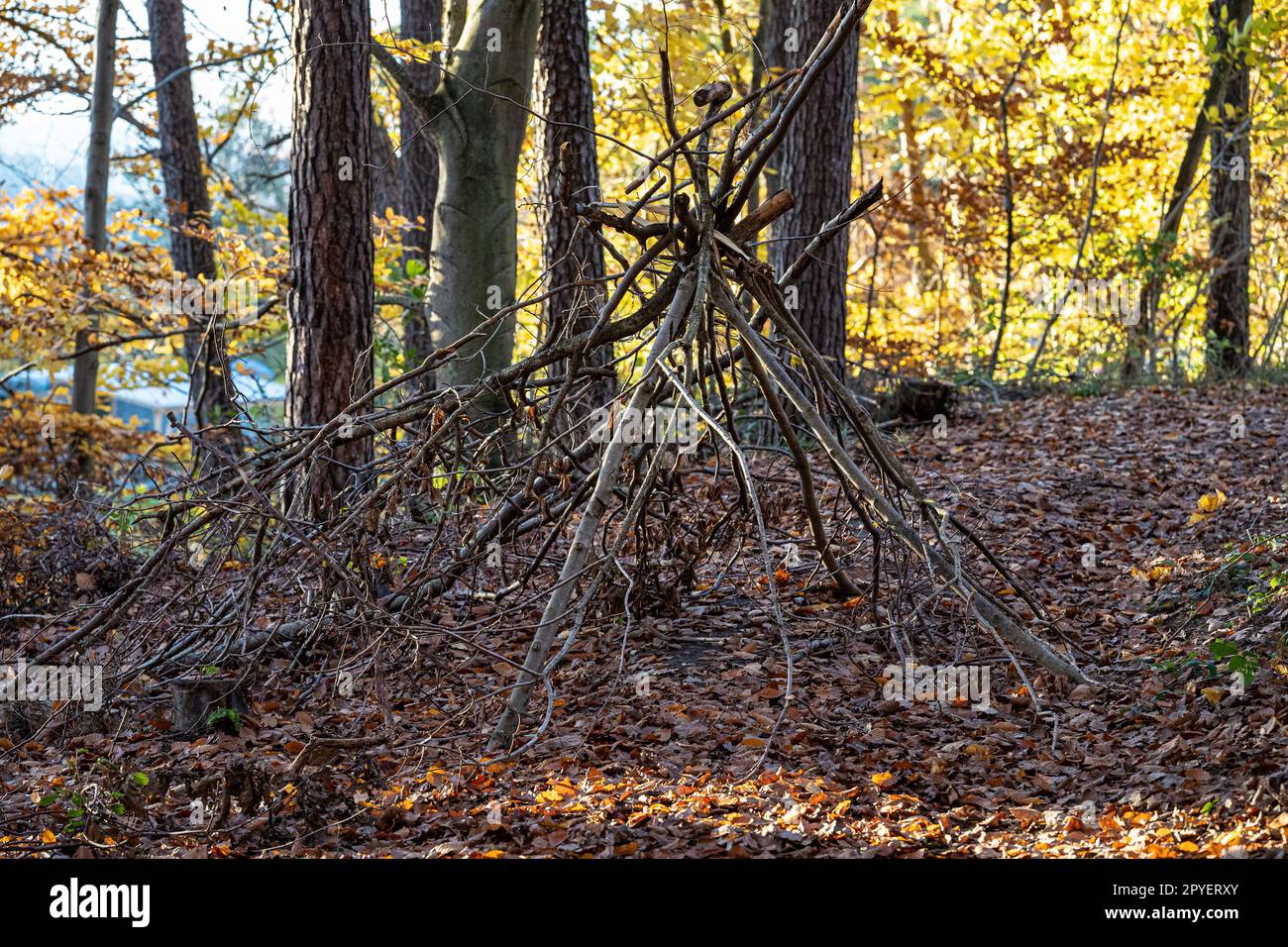 Signe d'une sorcière au milieu de la forêt Banque D'Images