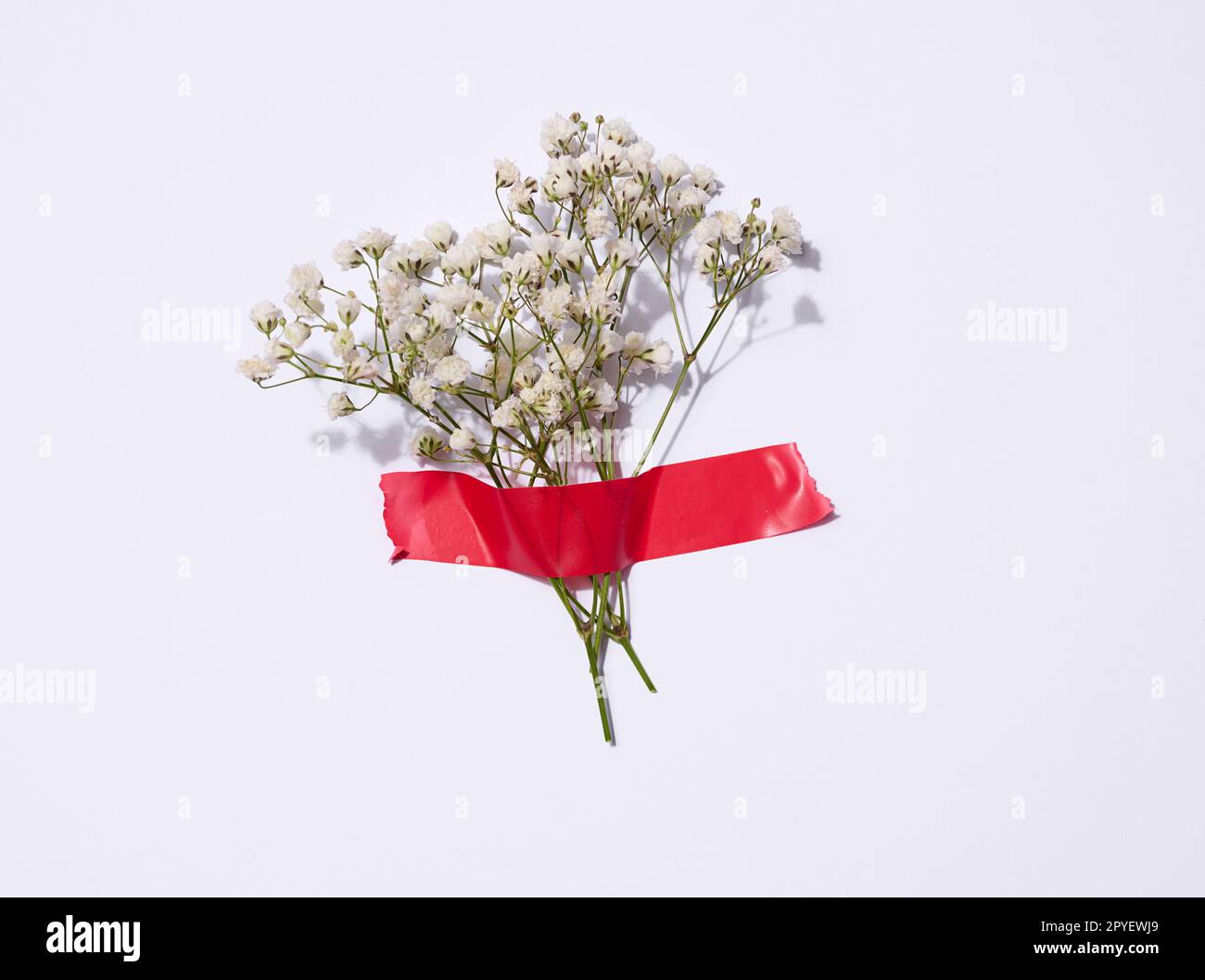 Un bouquet de gitsophila blanc est collé avec du ruban électrique rouge sur un fond blanc Banque D'Images