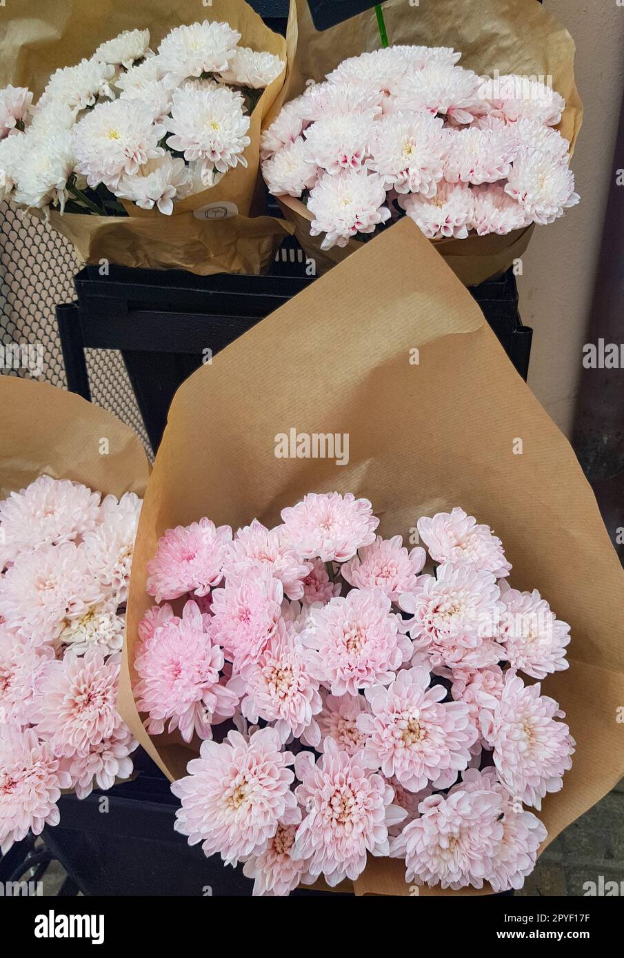 Beaux bouquets de chrysanthèmes en papier kraft brun, sur le comptoir d'un fleuriste, vertical Banque D'Images