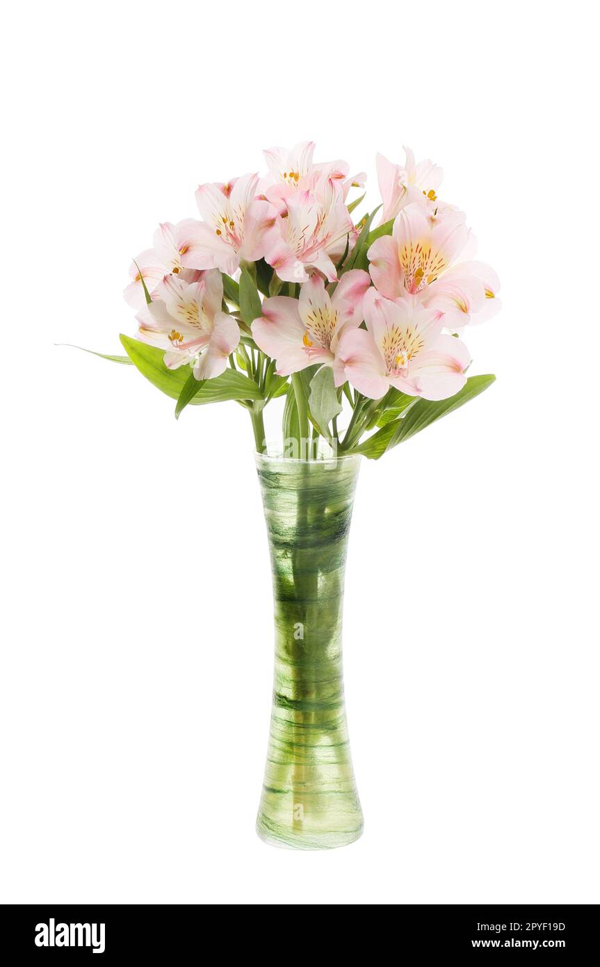 Fleurs d'Alstroemeria disposées dans un vase isolé contre le blanc Banque D'Images