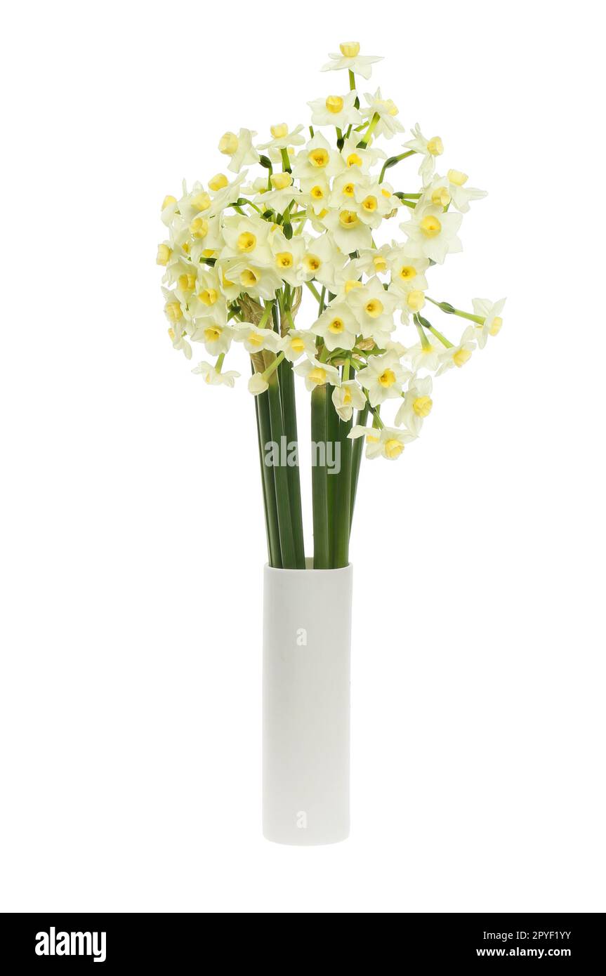 Arrangement de papier blanc narcisse fleurs dans un vase isolé contre blanc Banque D'Images