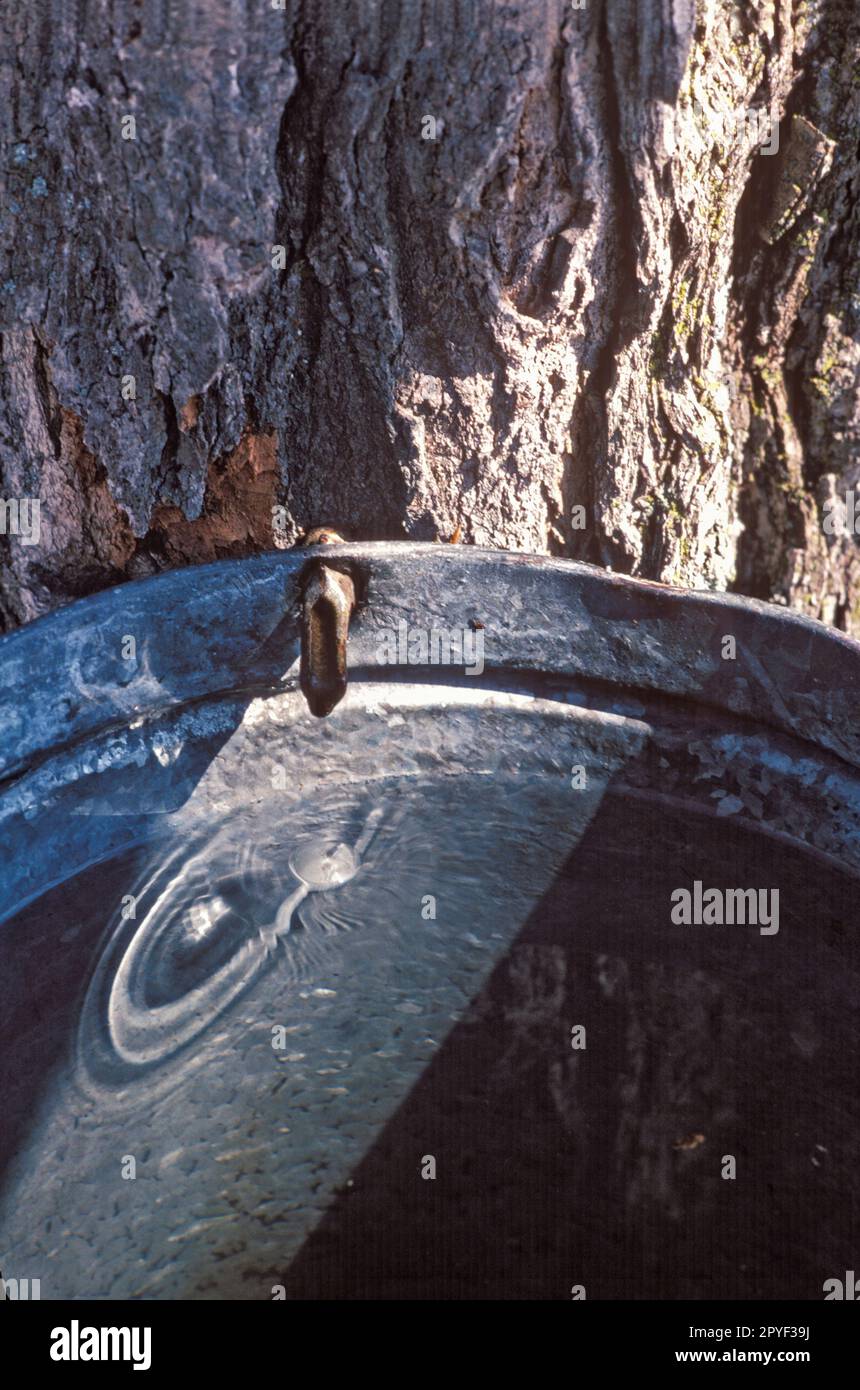 Rubrique SAP Banque D'Images