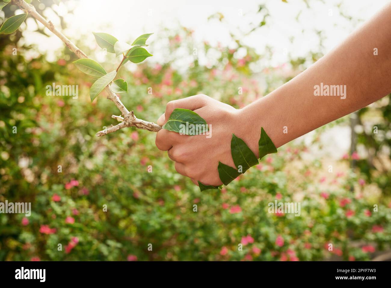 Marchez main dans la main avec mère nature. un jeune homme non identifiable qui se secoue la main avec une branche dans son jardin. Banque D'Images