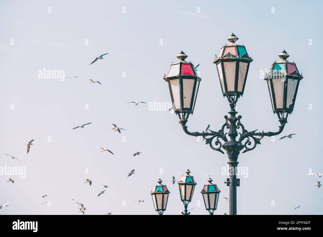 des troupeaux de mouettes volent près d'une belle lampe de rue dans une ville côtière Banque D'Images