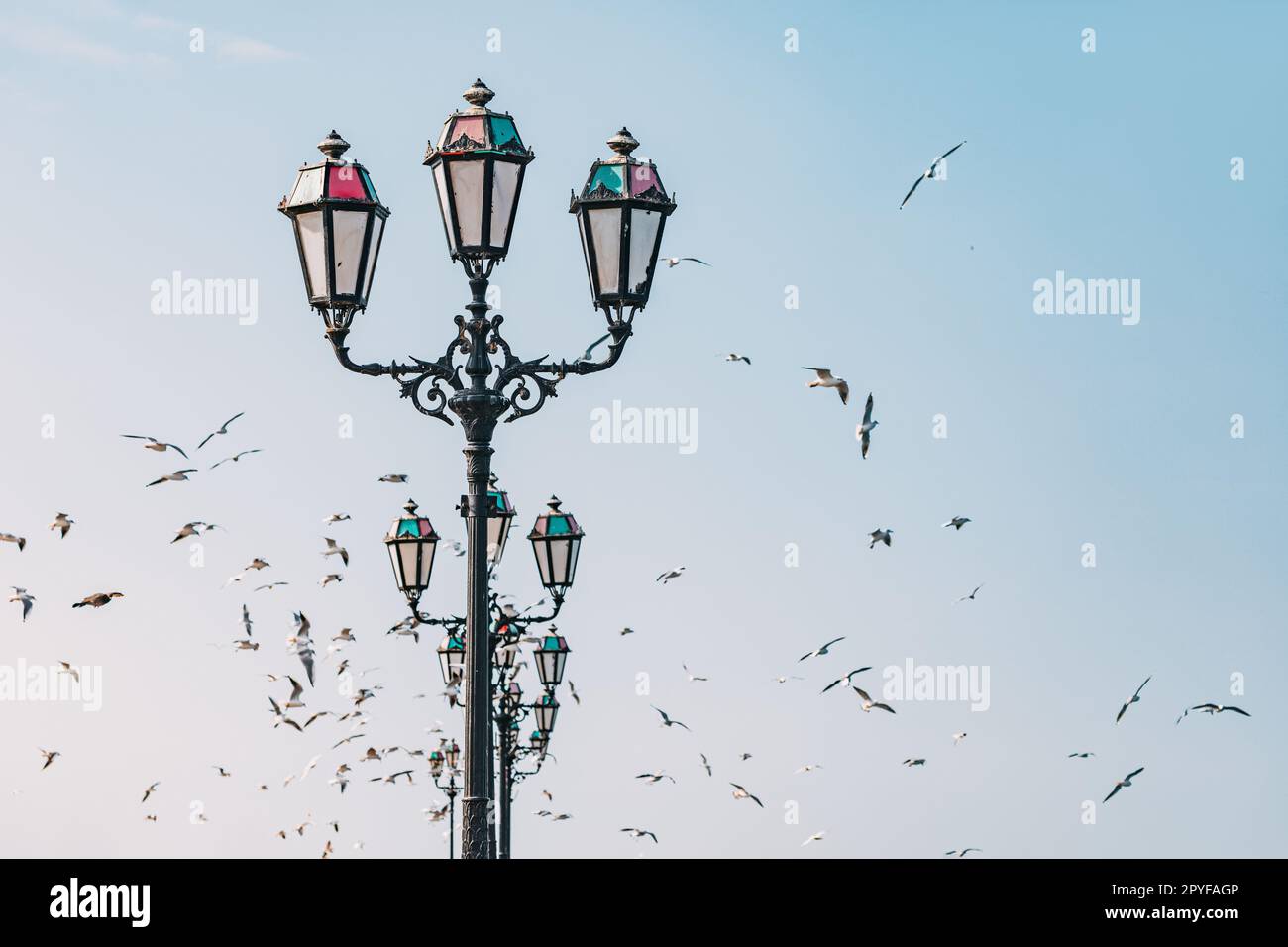 des troupeaux de mouettes volent près d'une belle lampe de rue dans une ville côtière Banque D'Images