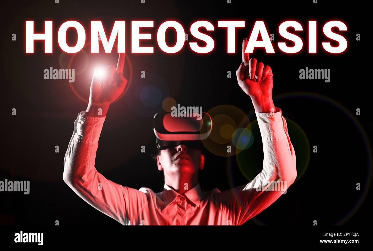 Homéostasie d'affichage conceptuel. Mot pour la tendance vers un équilibre entre des éléments interdépendants Banque D'Images